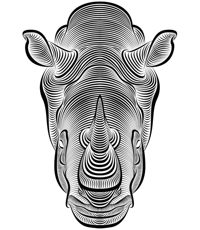 coloriage adulte rhinoceros g 1