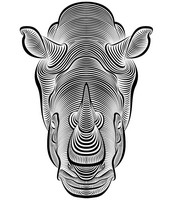 Disegno da colorar antistress Rinoceronte