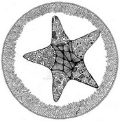 Art Therapy coloring page Starfish