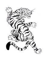 Desenho para colorir anti stress Tigre branco