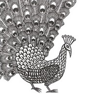 Art Therapy coloring page Peacock