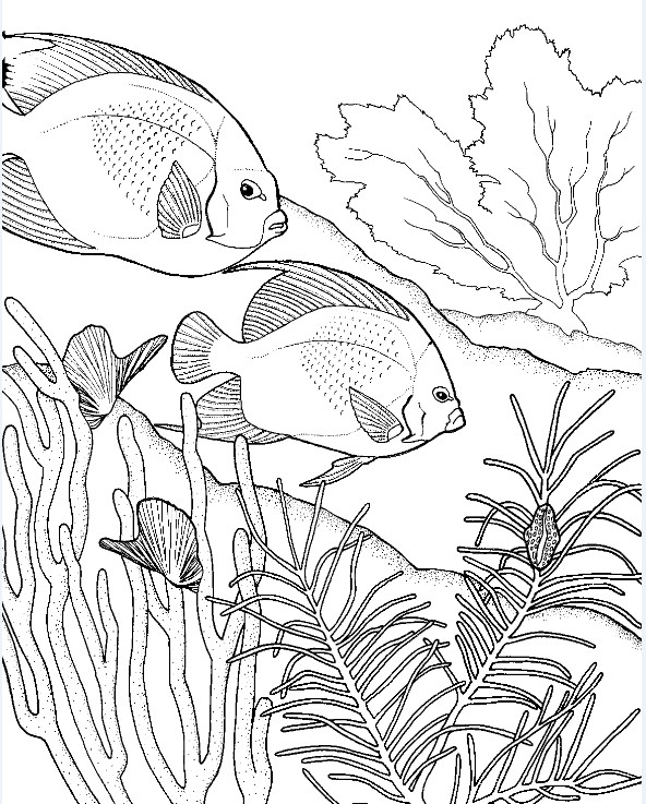 Art Therapy coloring page Fishes