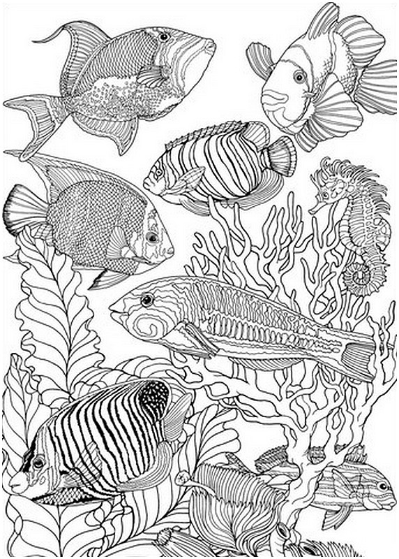 Disegno da colorar antistress Pesce