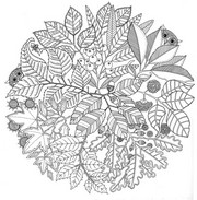 Desenho para colorir anti stress Mandala do outono