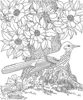Desenho para colorir anti stress Pássaro