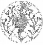 Art Therapy coloring page Mandala sea horse